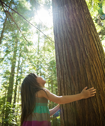 child looking up at a tree